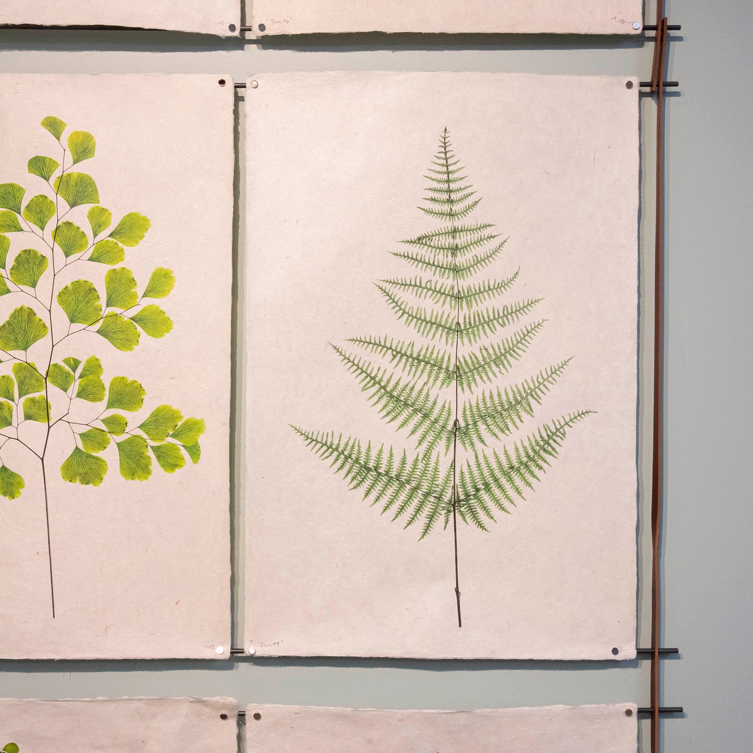 4-6 Print Leather & Steel hangers