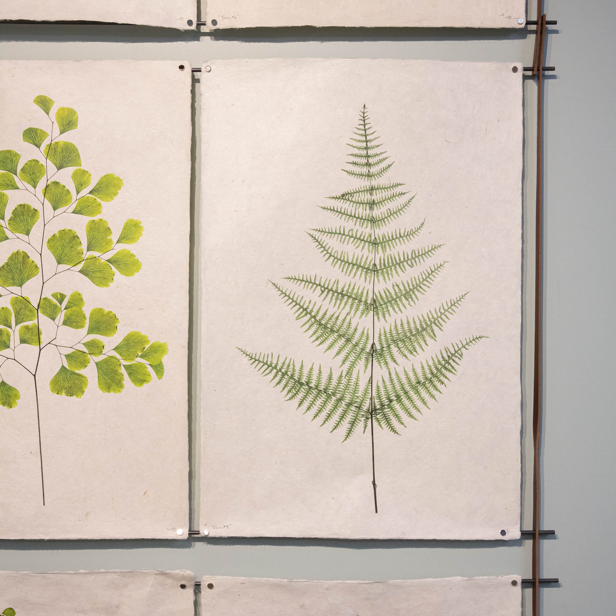 4-6 Print Leather & Steel hangers