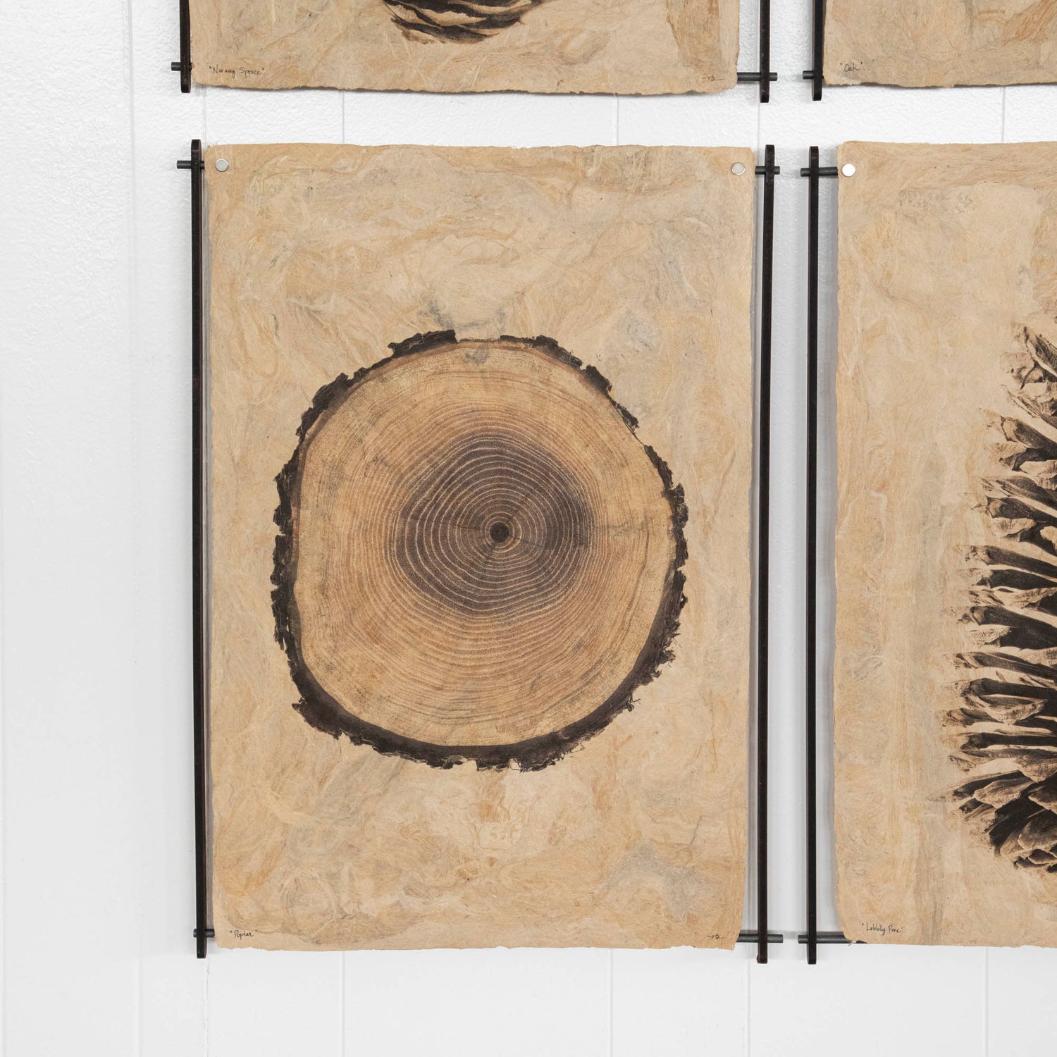 Frameless Wood & Steel Hanger for Amate Sierra Art Prints