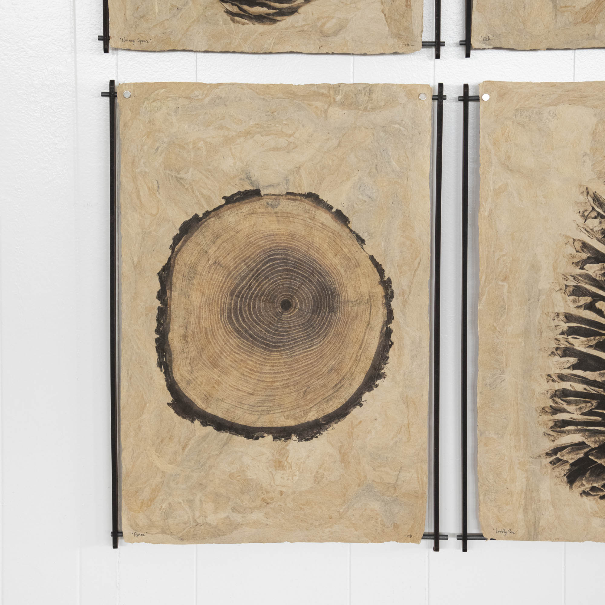 Frameless Wood & Steel Hanger for Amate Sierra Art Prints