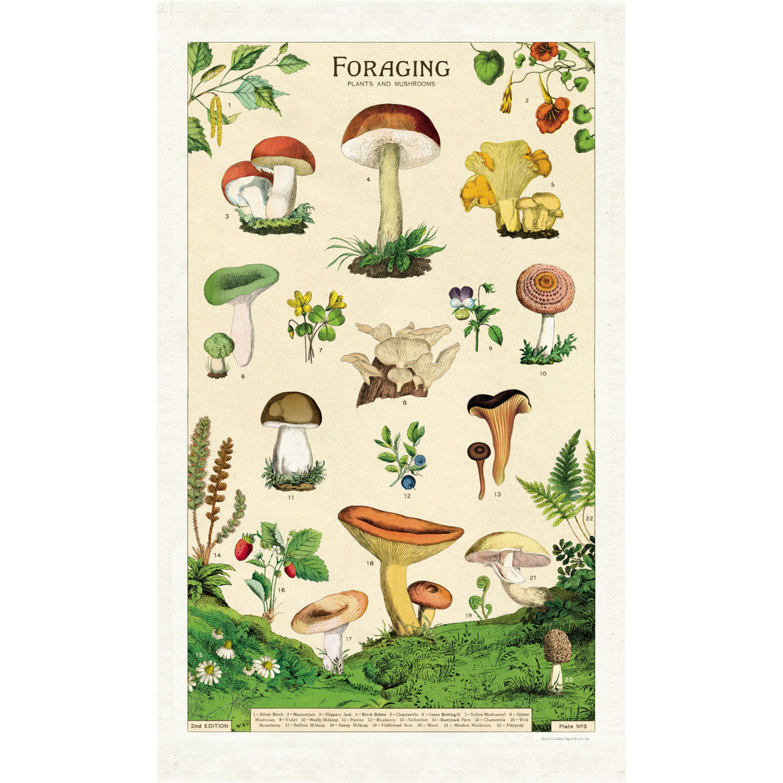 Illustrated guide to foraging with various plants and mushrooms, printed on a natural cotton Foraging Tea Towel by Cavallini Papers & Co.
