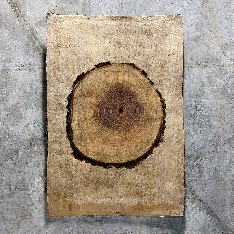 Poplar on Amate Sierra Art Print