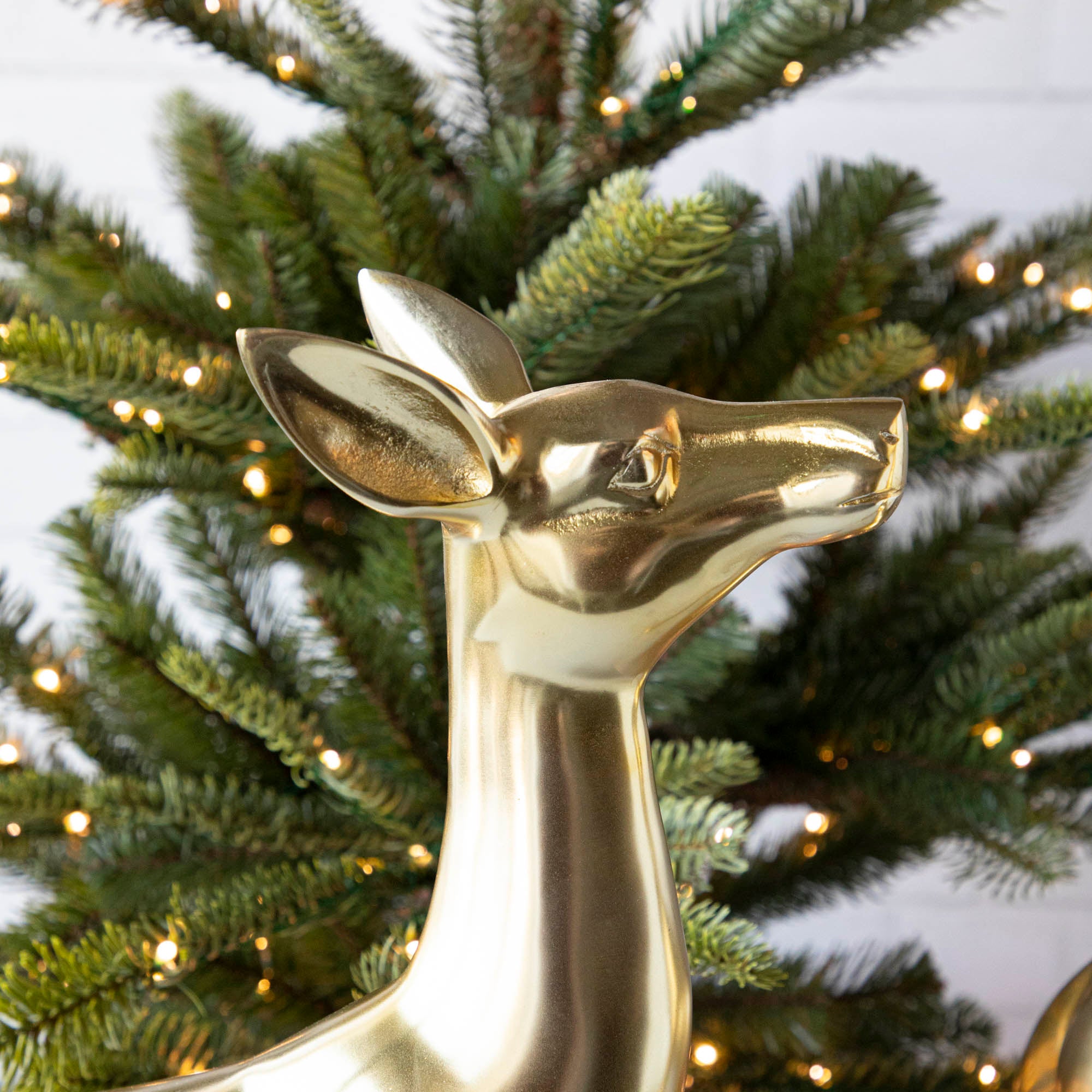 A close up of the doe, showing its shiny brass coating.