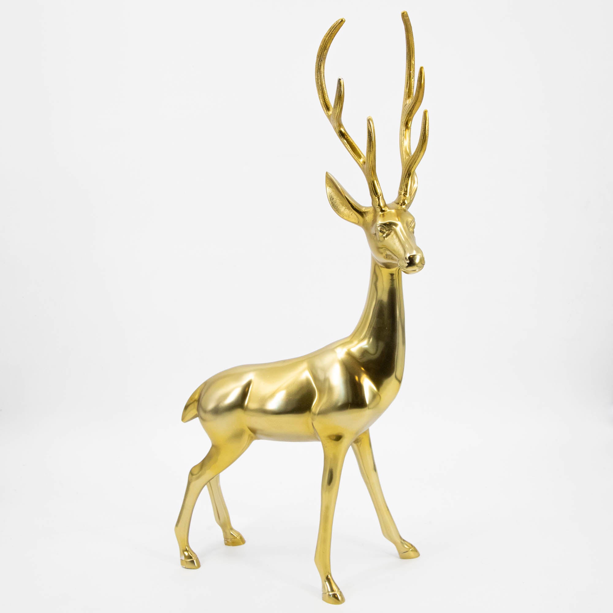 A side view of the Brass Buck.