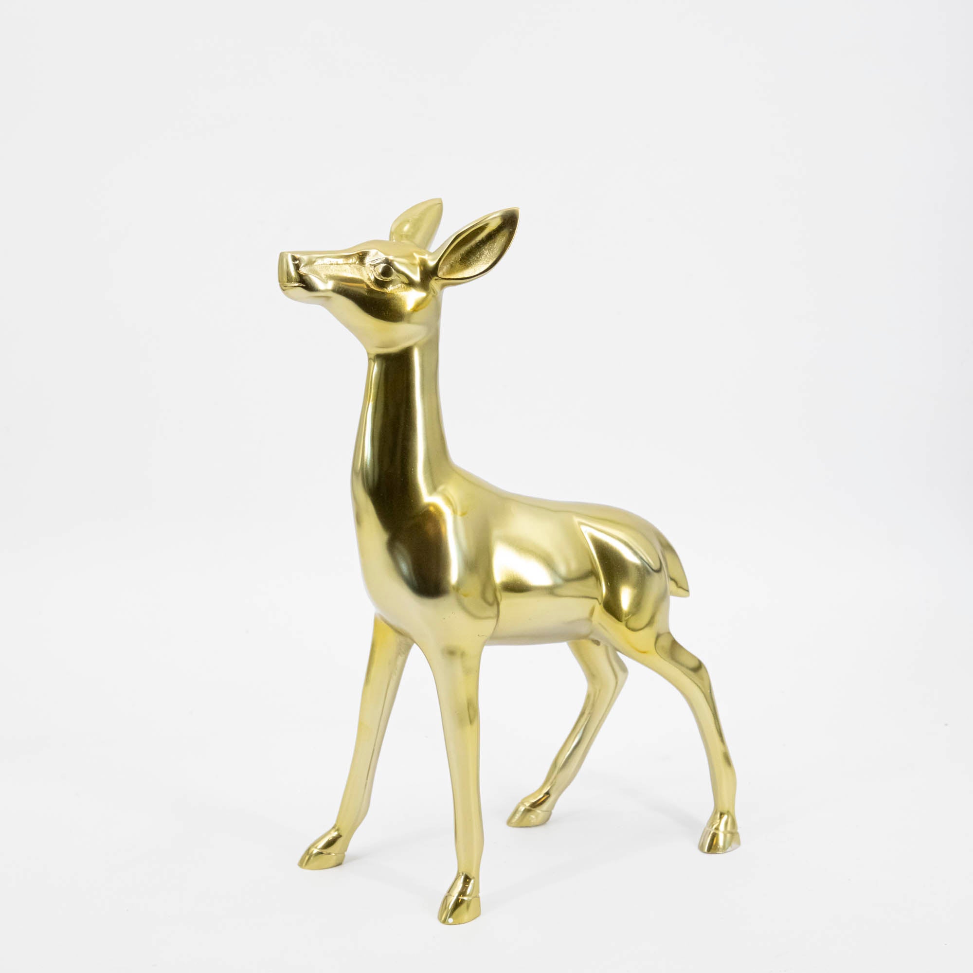 A side view of the Brass Doe.