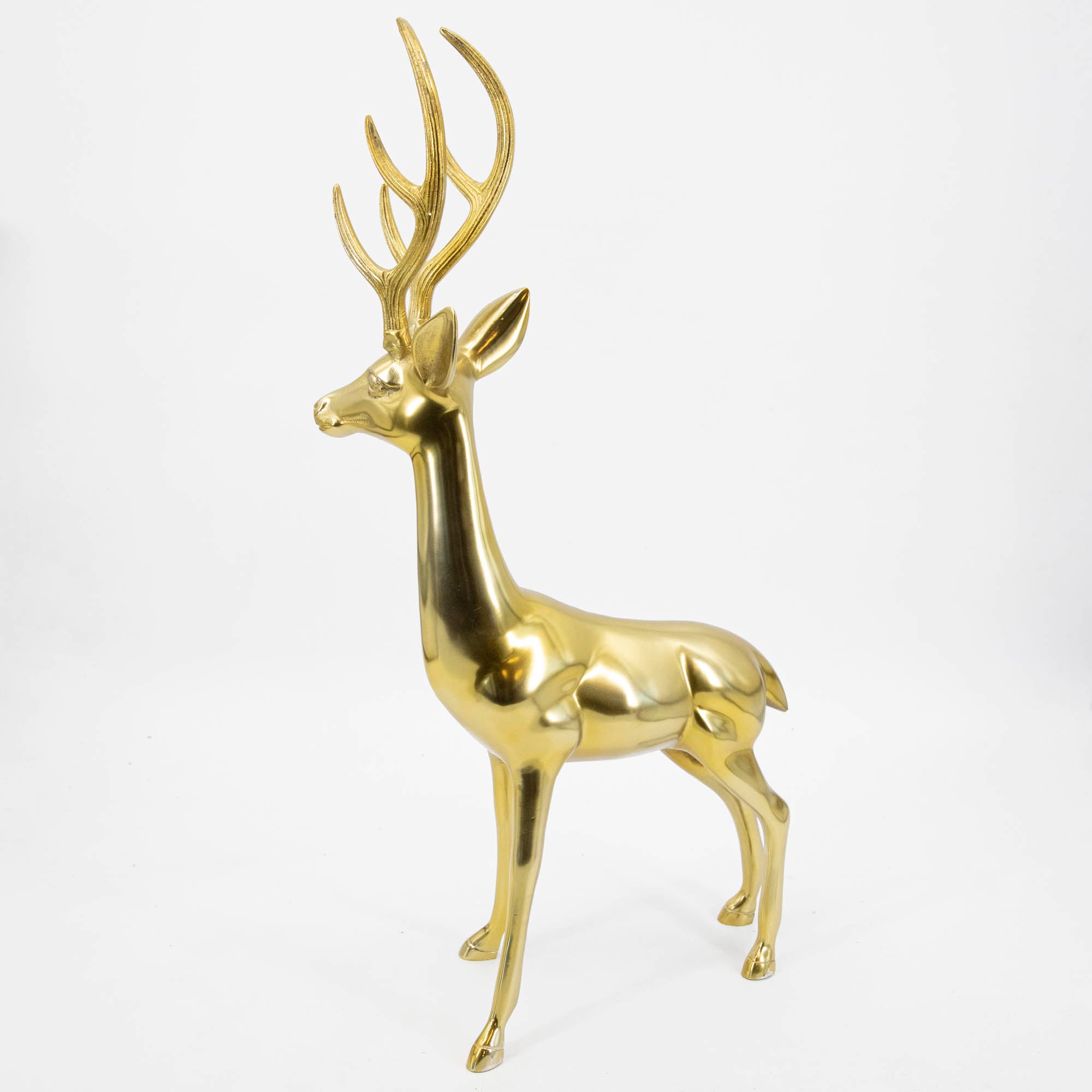 A side view of the Brass Buck.