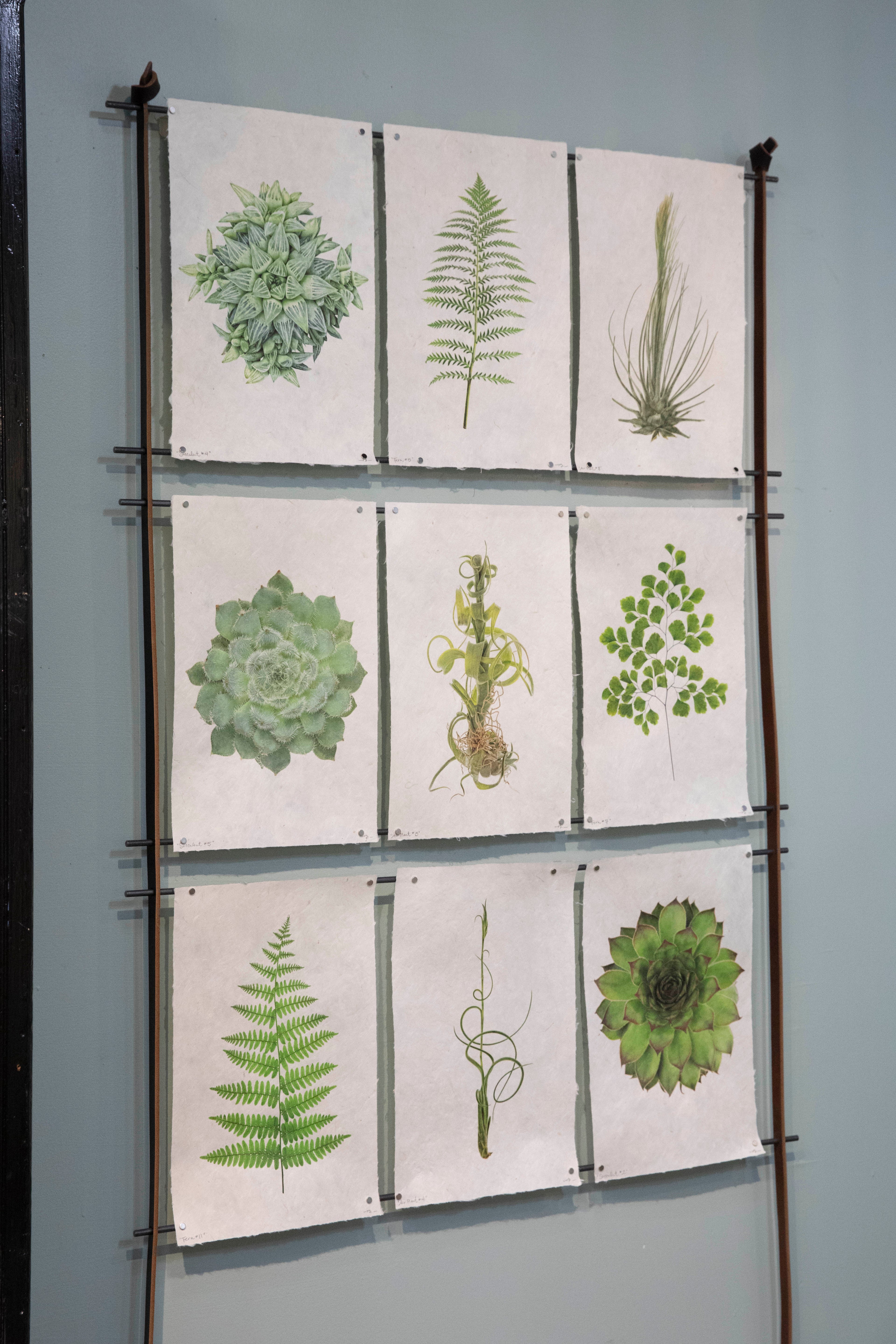Barloga Studios art prints hanging in a frame on a wall.