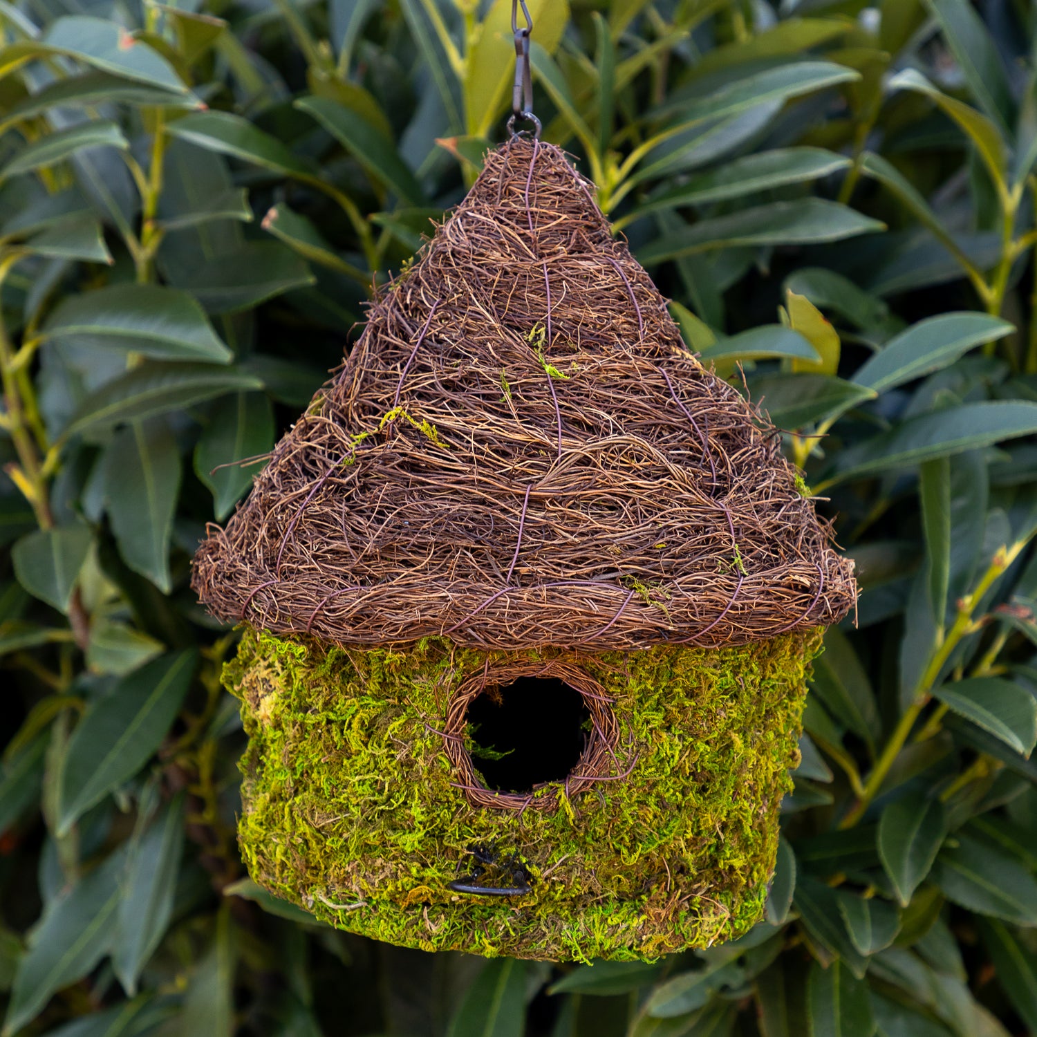 Bungalow Bird House made with moss hanging outside. 