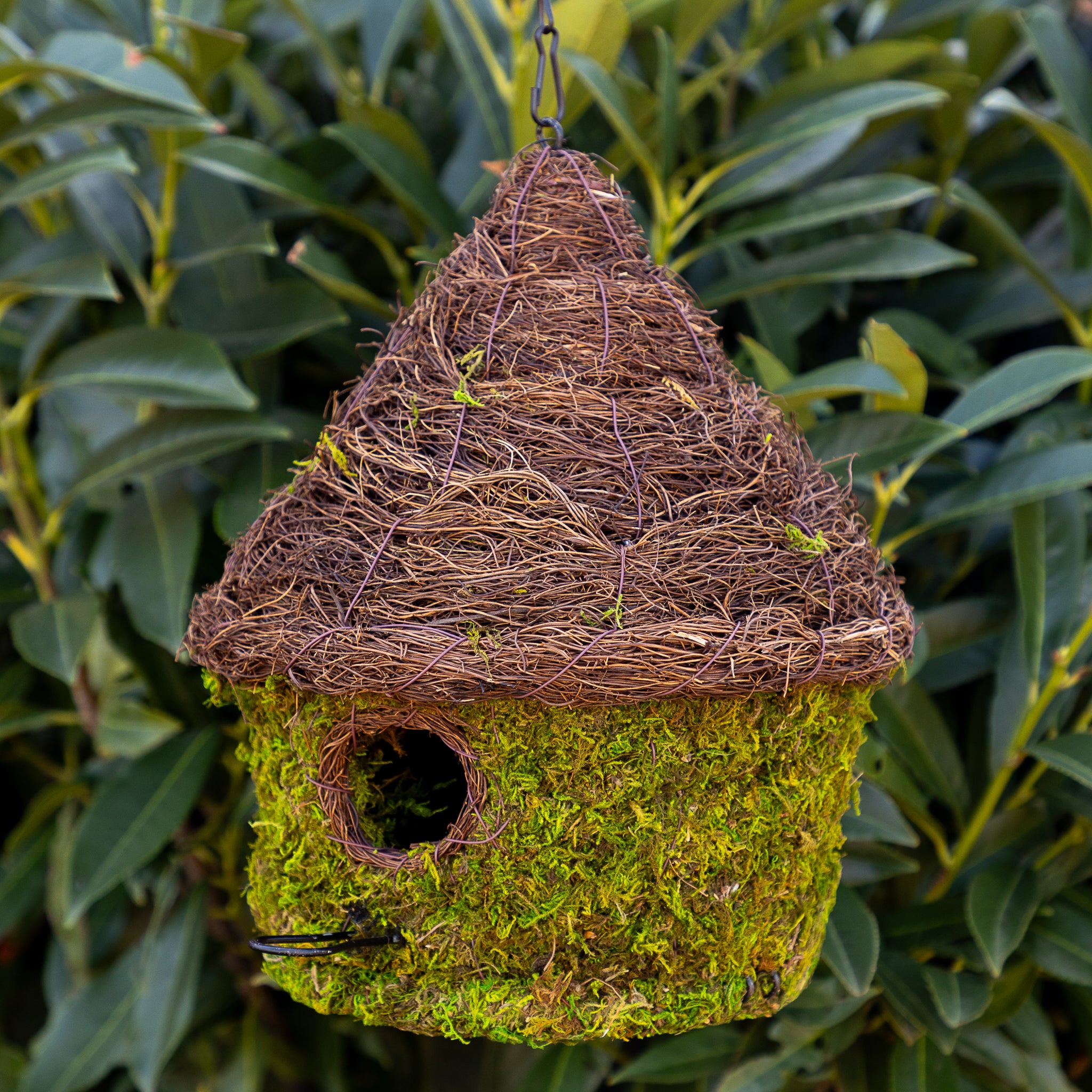Bungalow Bird House made with moss hanging outside. 