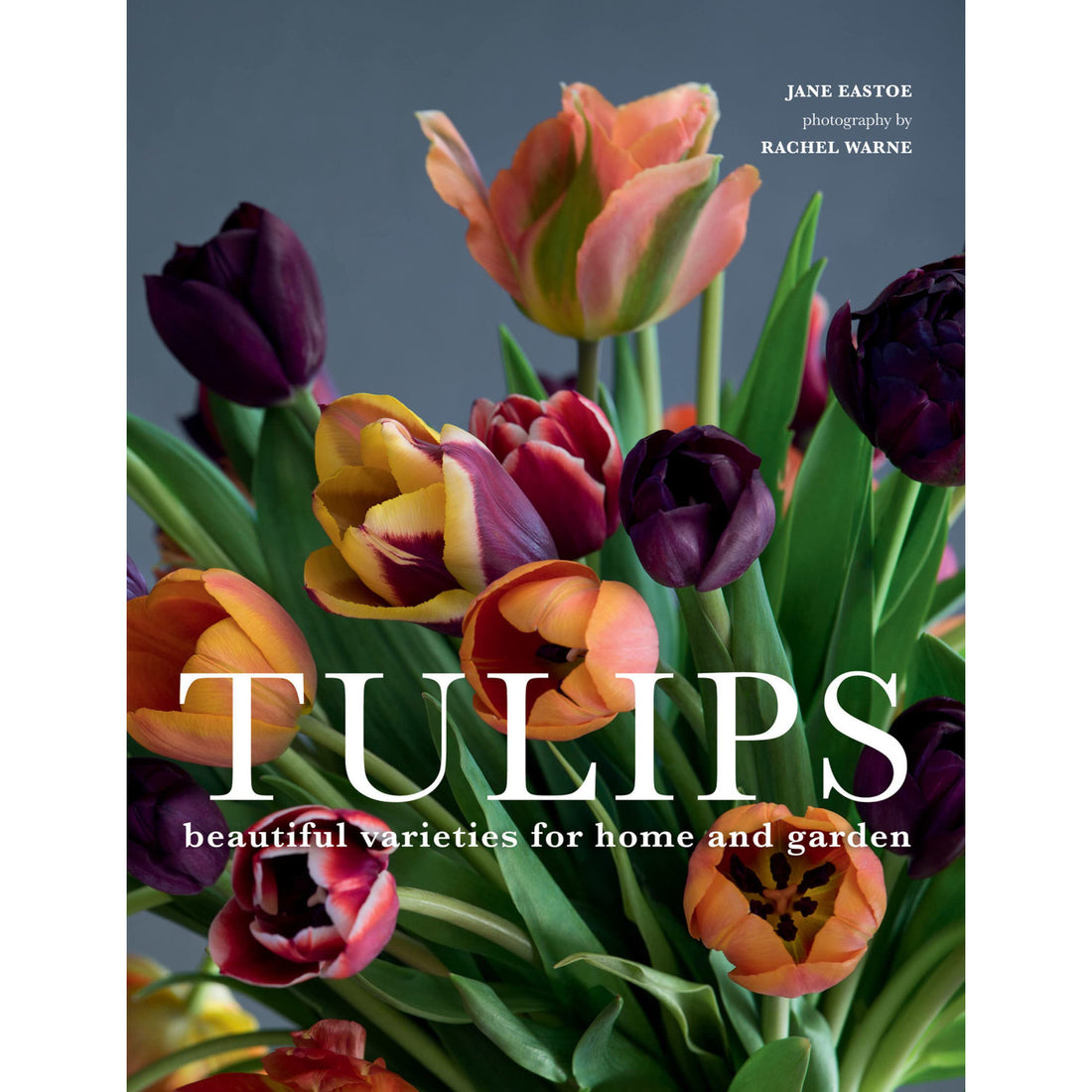 A Gibbs Smith book cover featuring a vibrant gardening bouquet of Tulips, with the title &quot;Tulips&quot; and a subtitle &quot;beautiful varieties for home and garden.