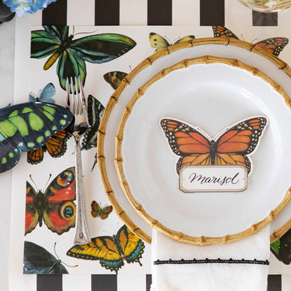 A variety of colorful butterflies displayed against a light background on Hester &amp; Cook&