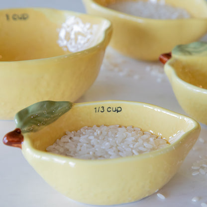 A close up of the 1/3 measuring cup showing the texture, rice inside and 1/3 writing on the cup.