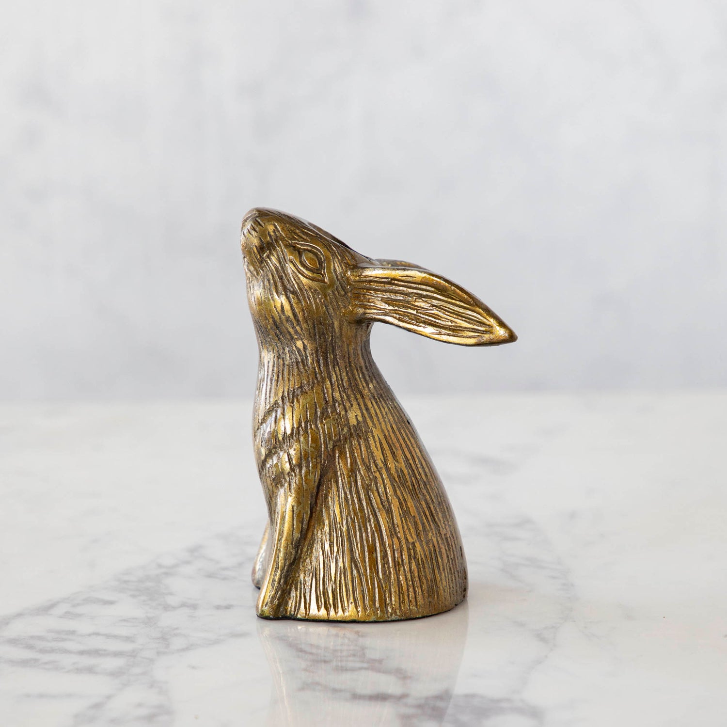 Halcyon Hare Head Taper Candle looking up with its ears back.