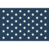 A solid navy blue background containing fifty evenly-spaced white stars; a design identical to the canton of the United States flag. 