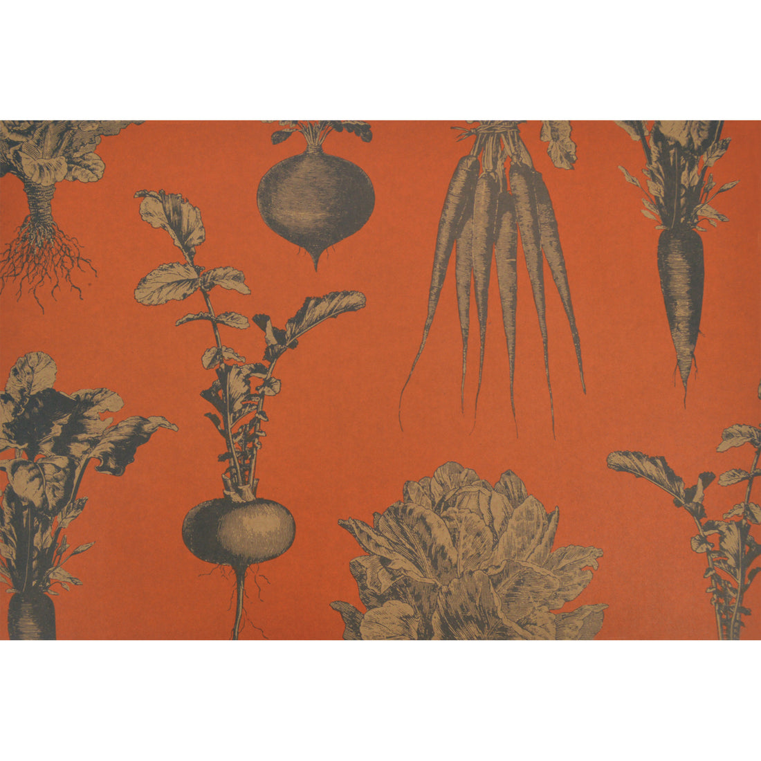 Large, engraving-style illustrations of turnips, carrots, and cabbages in dark grey with a deep orange background, printed on kraft paper.