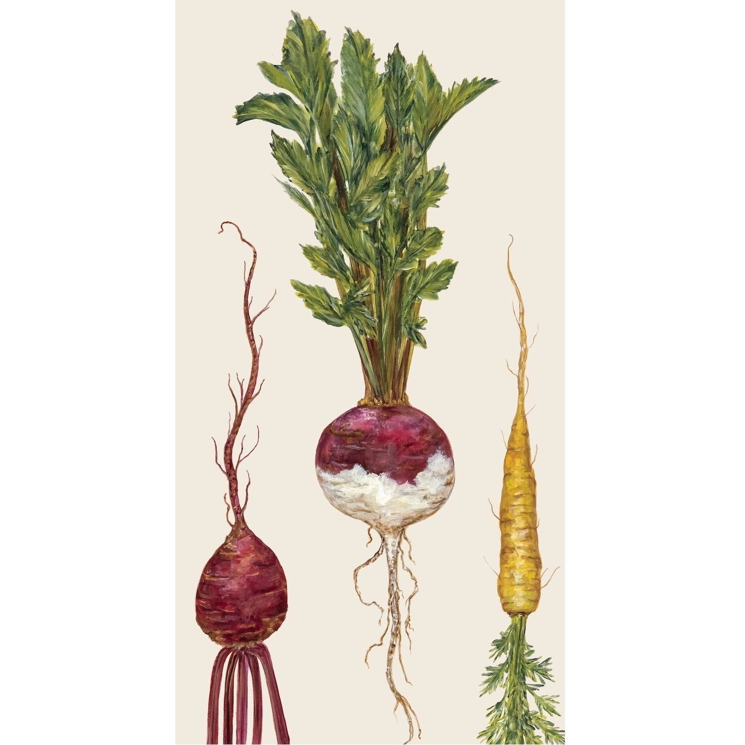 Illustration of three harvest vegetables—red beet, red onion, and yellow carrot—on a cream background. 