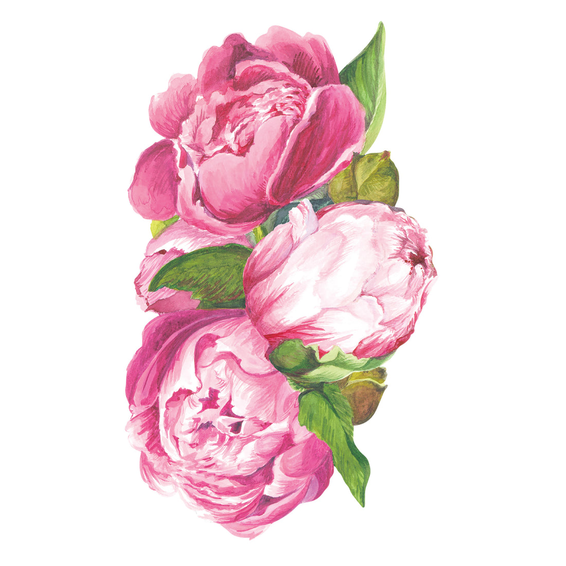 A die-cut watercolor illustration of large pink peony blooms nestled with green leaves.