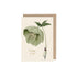 An off-white greeting card featuring a stylized illustration of a woman holding a gigantic green hellebore bloom by the stem, with the included kraft paper envelope and gold foil text that reads "Thinking of you".