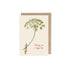 Ammi greeting card with an illustration of a woman holding a gigantic ammi flower with red text that reads "Wishing you a happy day".