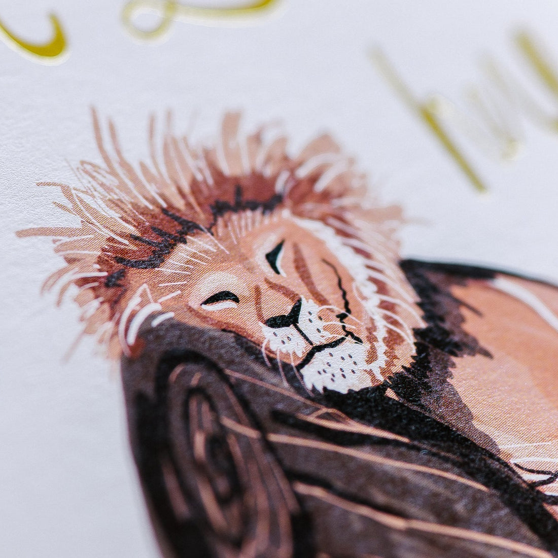 Close up of lion drawing on card. 