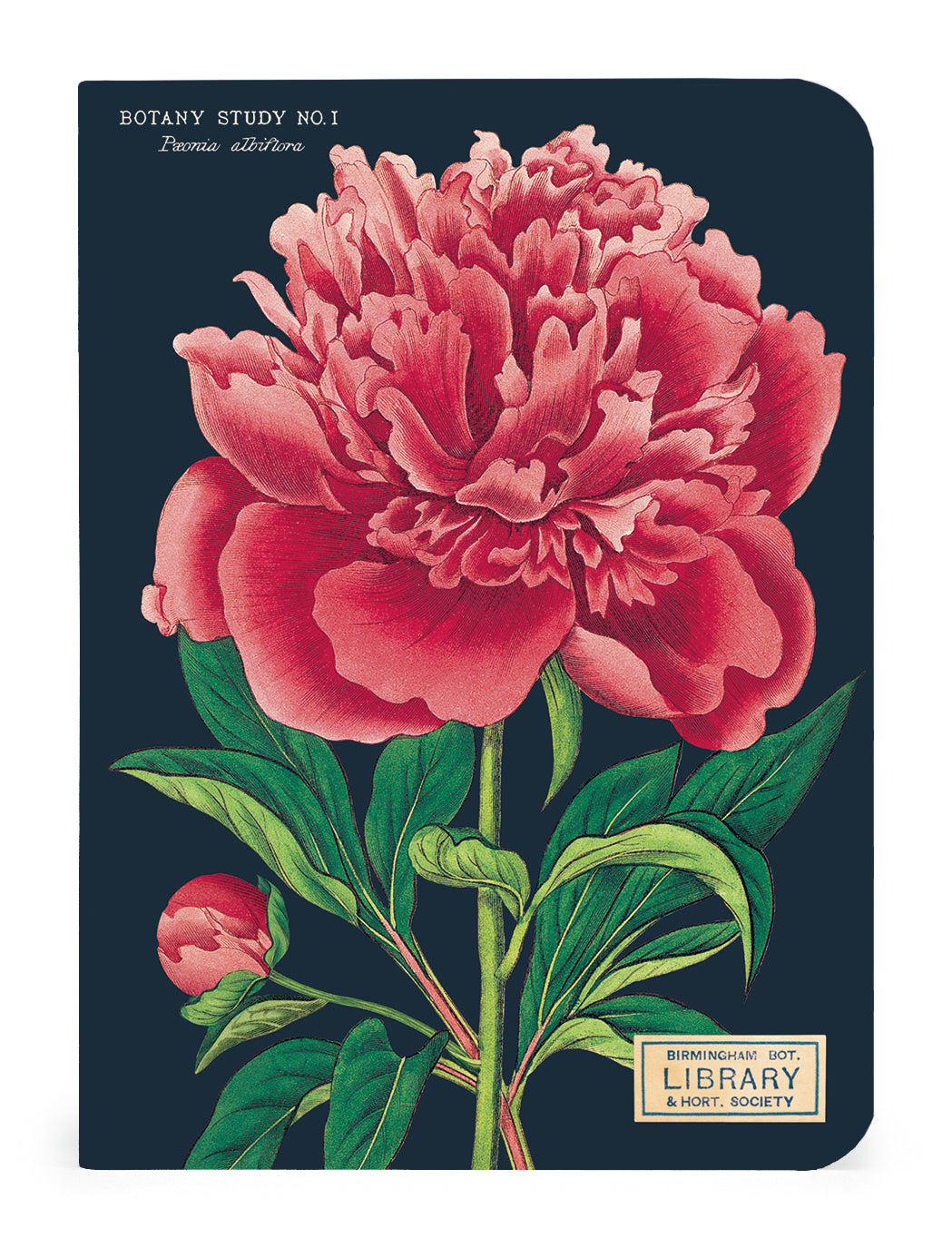 Three Botany 3 Mini Notebooks with vintage artwork of flowers on them by Cavallini Papers &amp; Co.