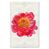 Barloga Red Peony art print. 