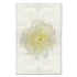 Barloga Yellow Peony art print.