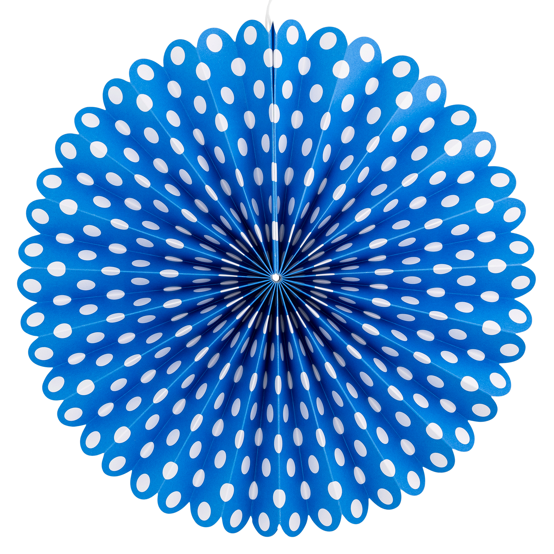 Blue &amp; White Party Fan Set