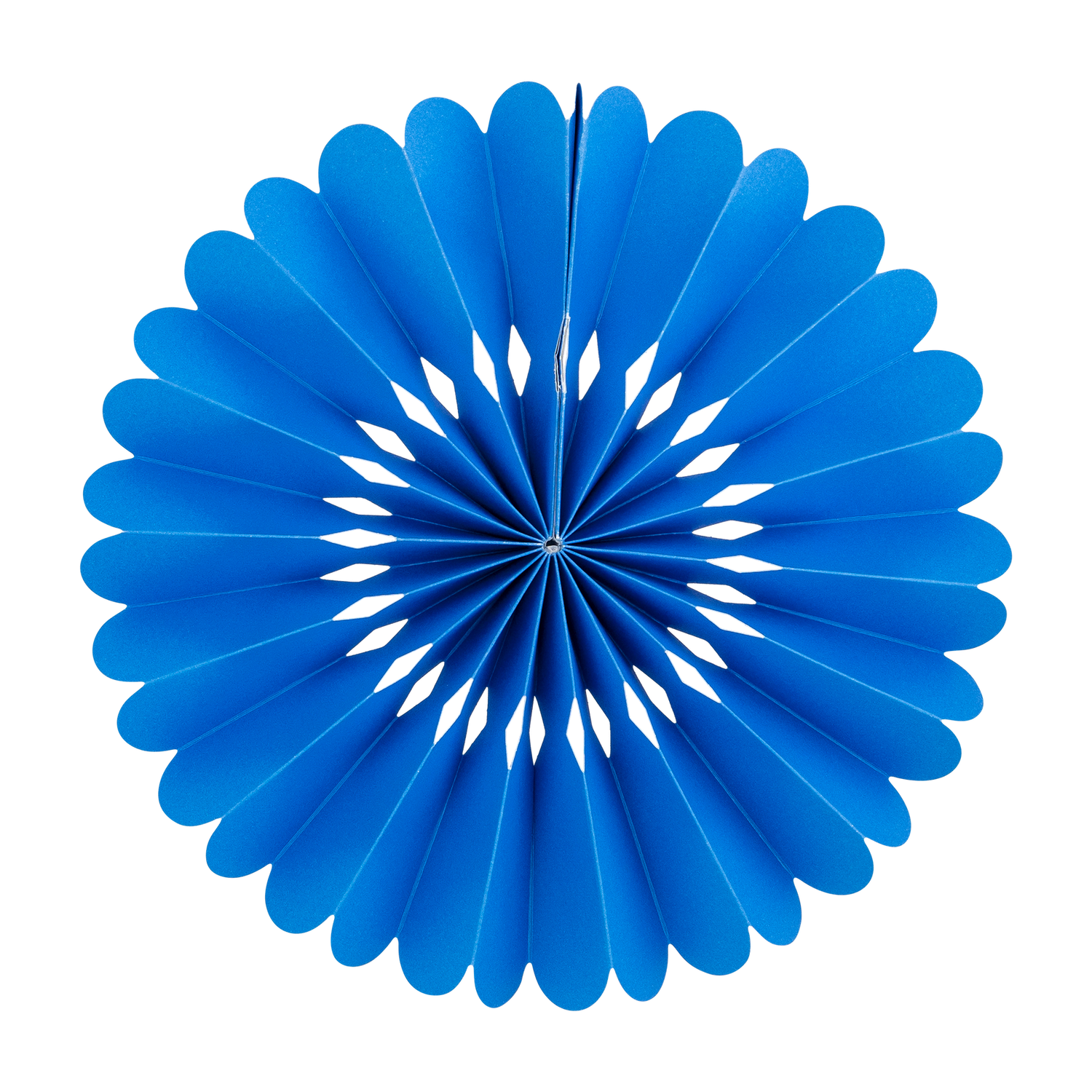 Blue &amp; White Party Fan Set