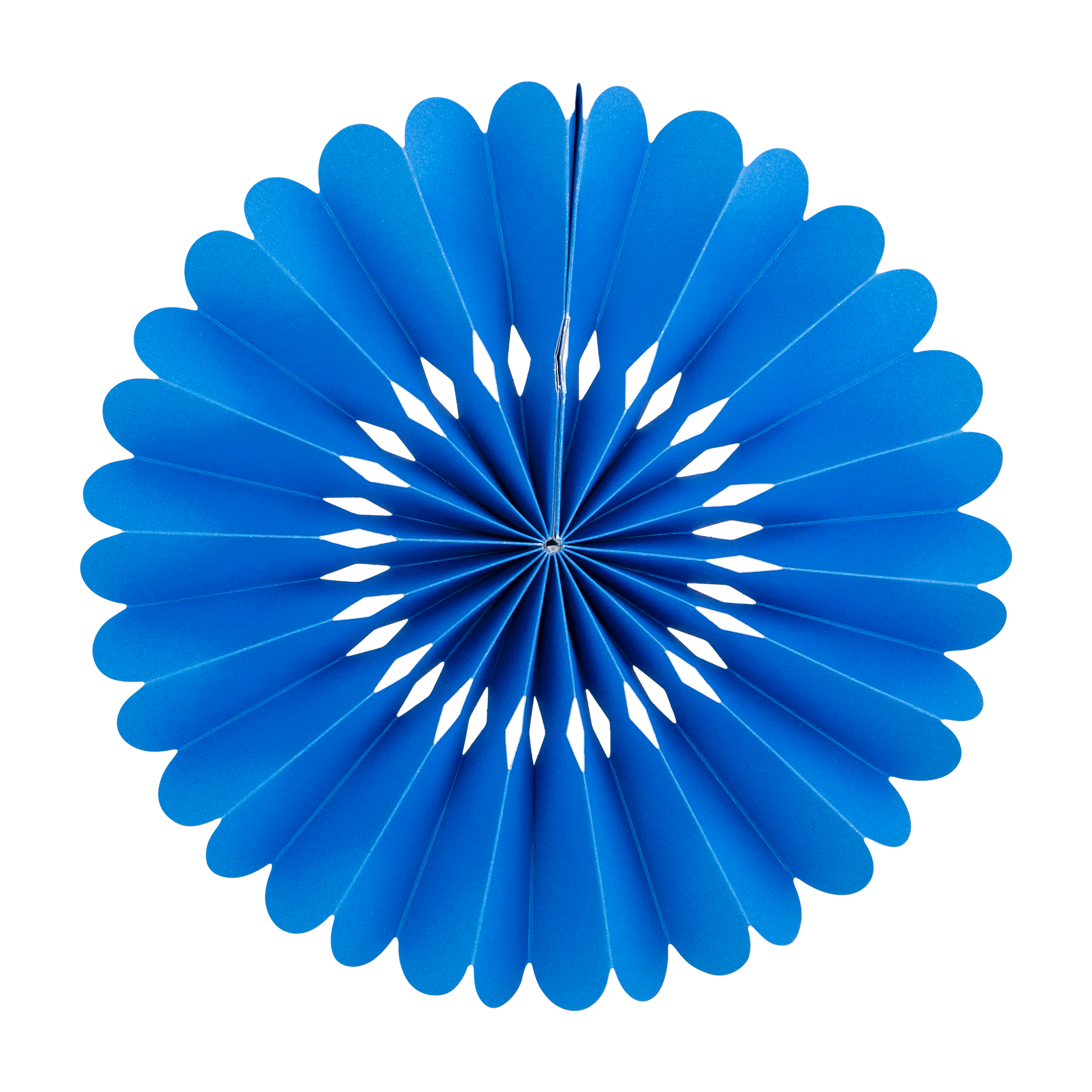 Blue &amp; White Party Fan Set