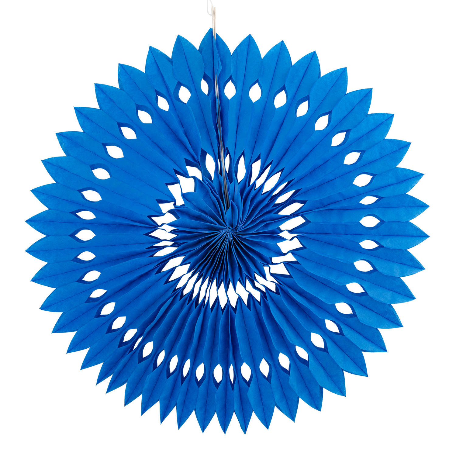 Blue &amp; White Party Fan Set