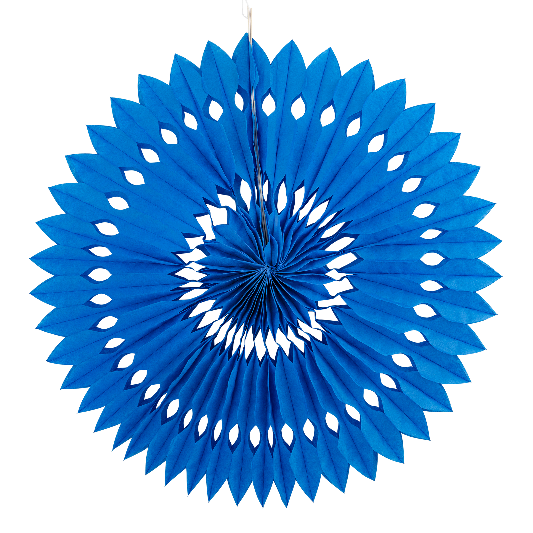 Blue &amp; White Party Fan Set