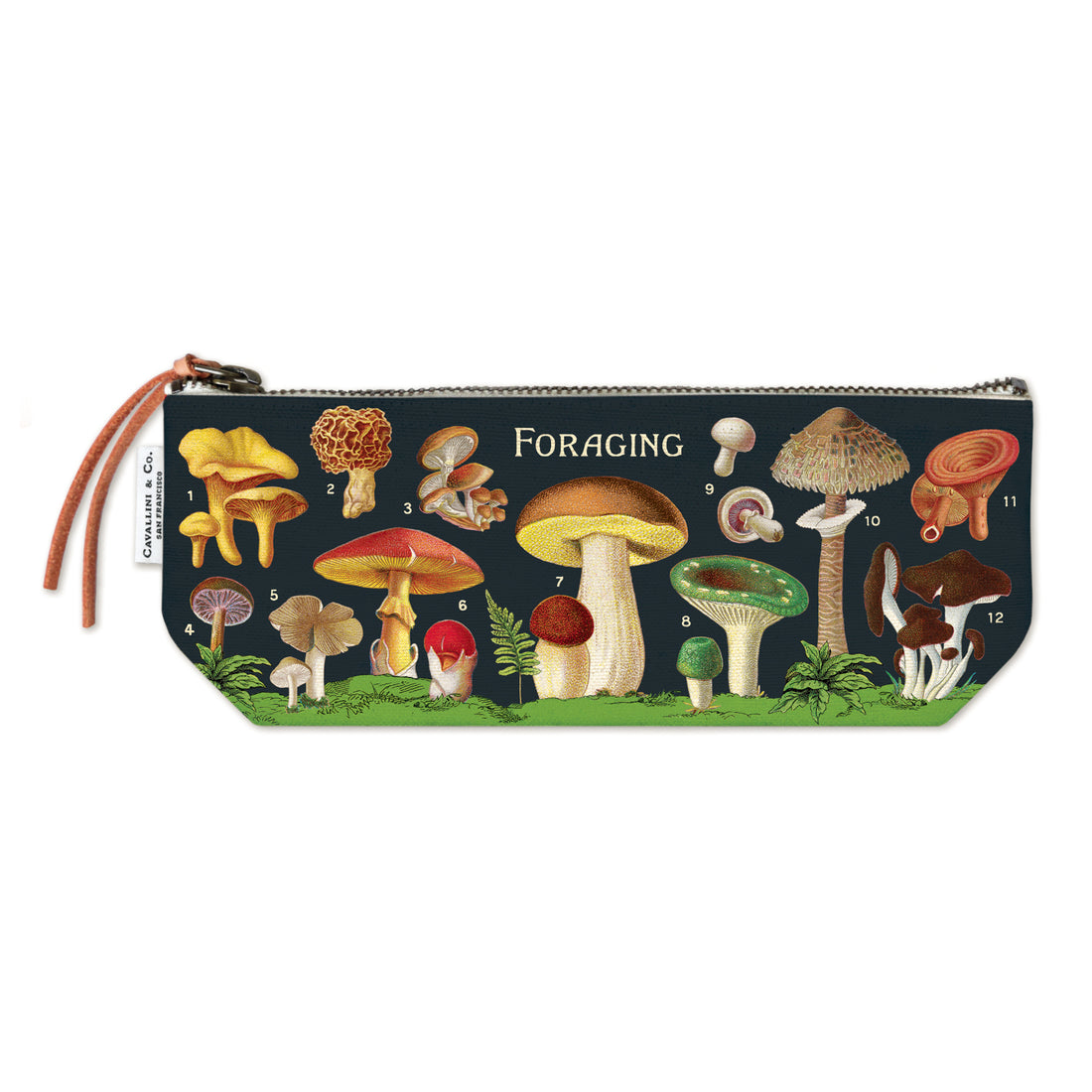A Foraging mini zipper pouch by Cavallini featuring vintage images of mushrooms from the Cavallini Archives.