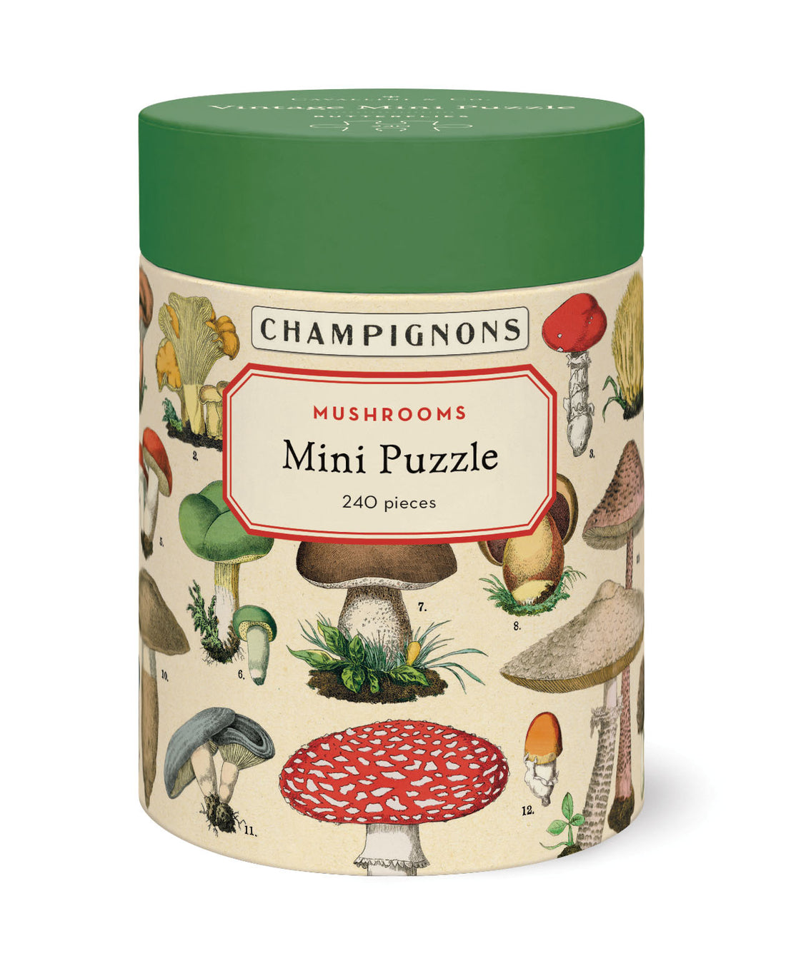 The front of the Mushroom Mini Puzzle box with vintage illustrations of mushrooms on a cream background with a green top.