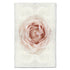 Barloga Pink Rose art print. 