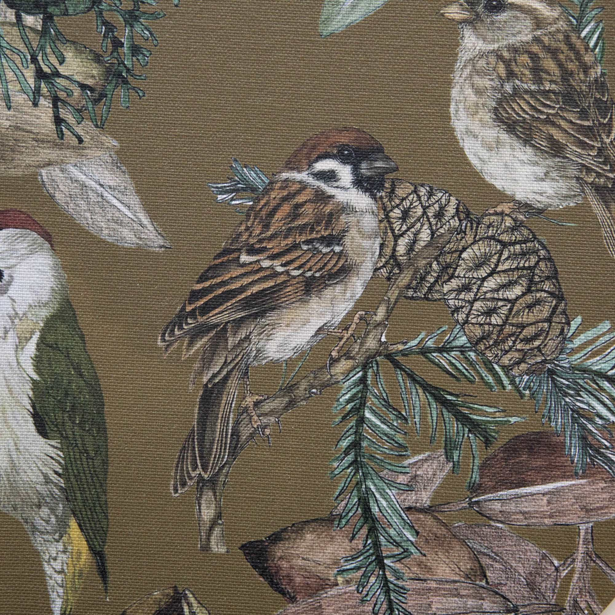Italian Bird &amp; Floral Placemat, Sold Individually