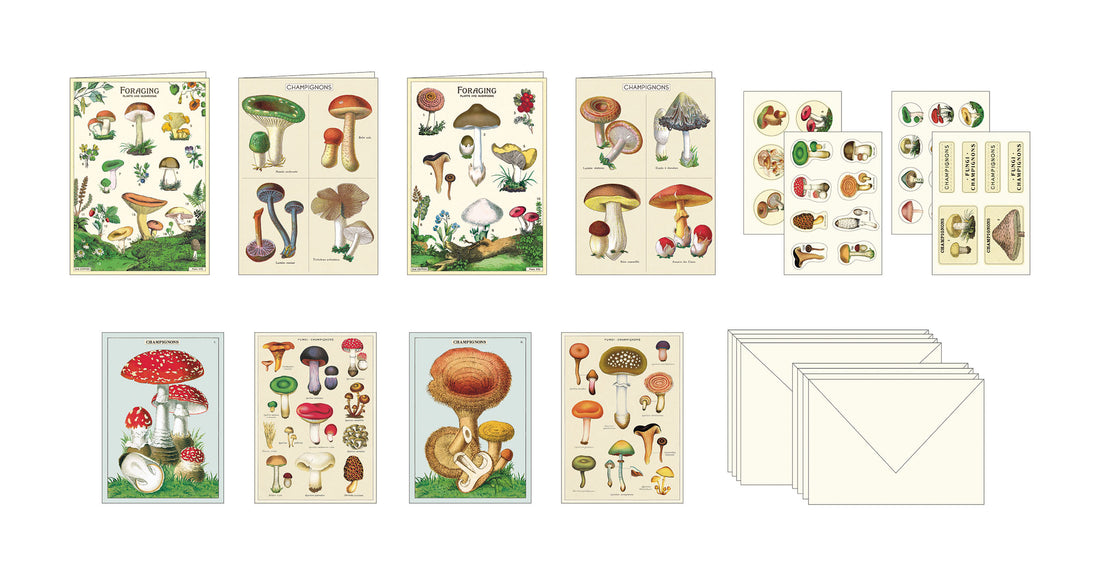 Cavallini Papers &amp; Co Mushroom Stationery Set featuring various types of mushrooms.