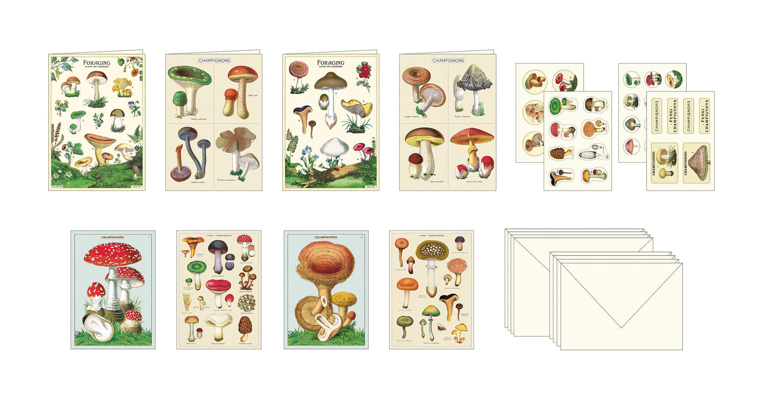 Cavallini Papers &amp; Co Mushroom Stationery Set featuring various types of mushrooms.