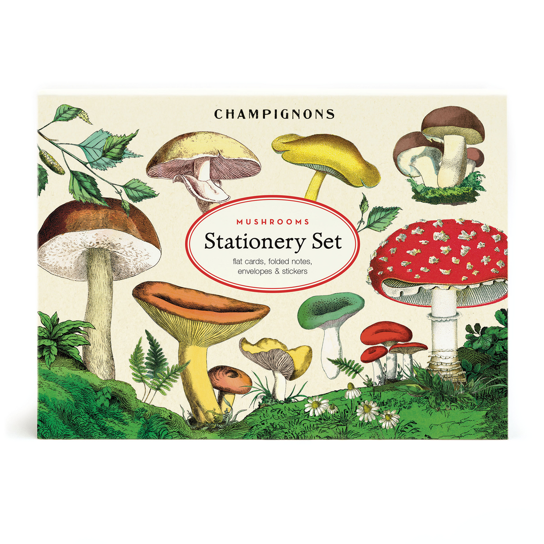 Cavallini Papers &amp; Co Mushroom Stationery Set featuring various types of mushrooms.