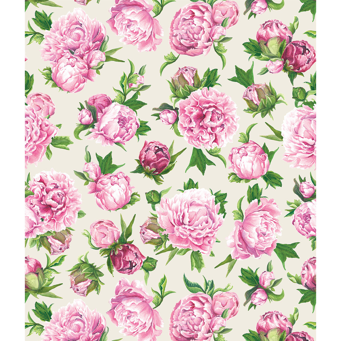 Peony Wallpaper