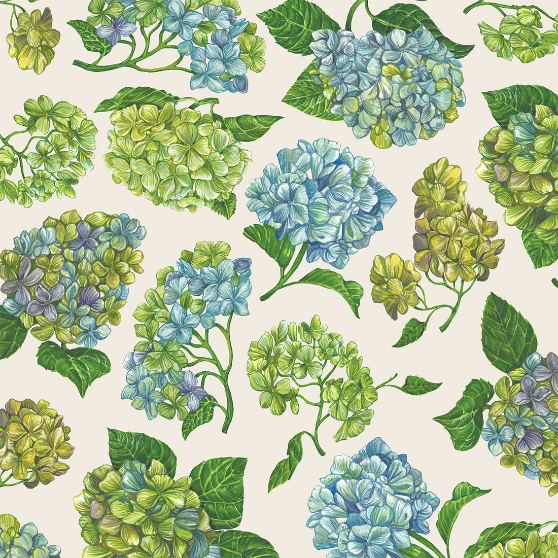 Hydrangea Wallpaper