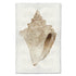 Weathered conch artwork by Barloga Studios. 
