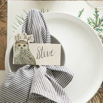 Winter Owl Place Card