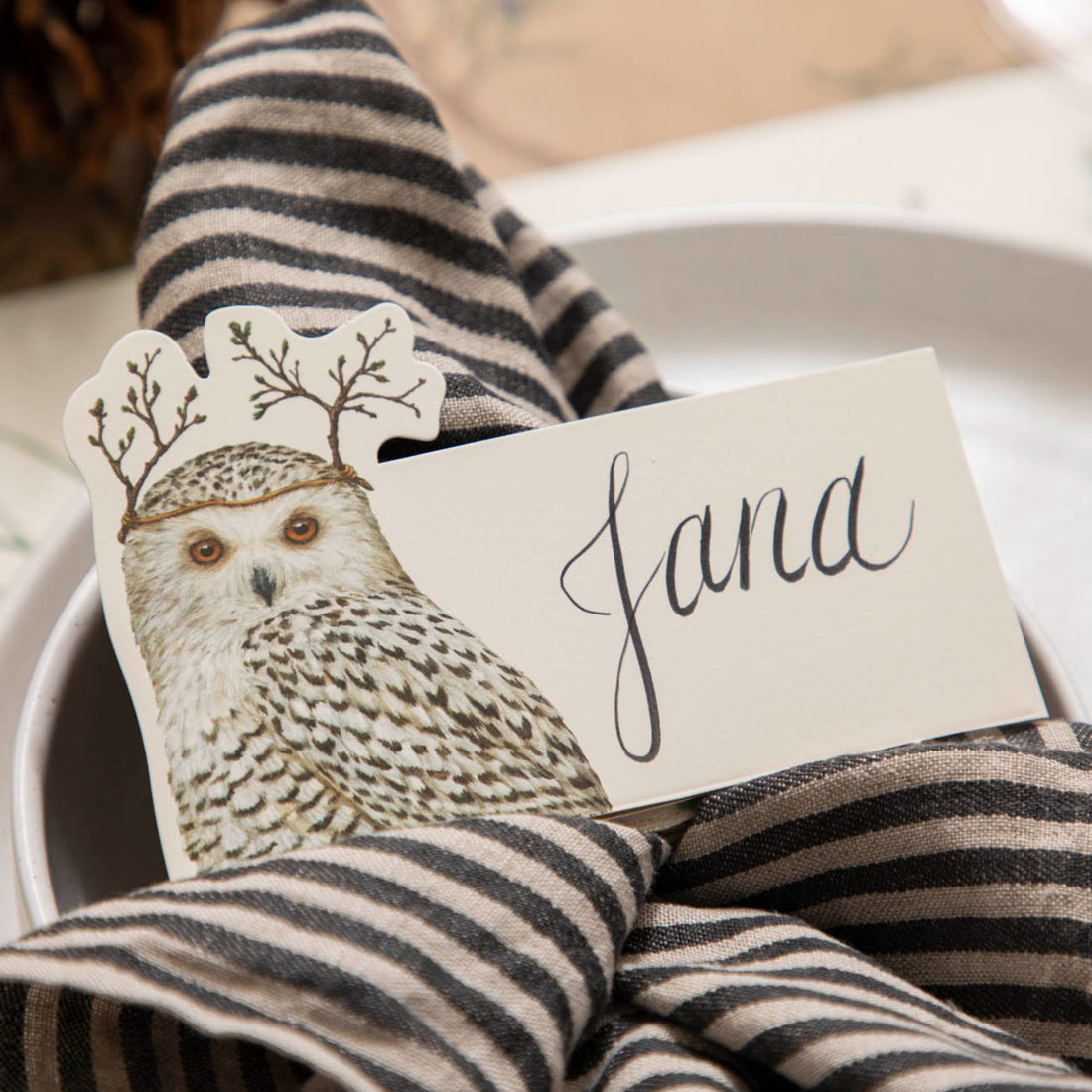 Winter Owl Place Card