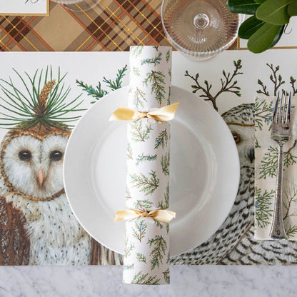 Winter Owls Crackers