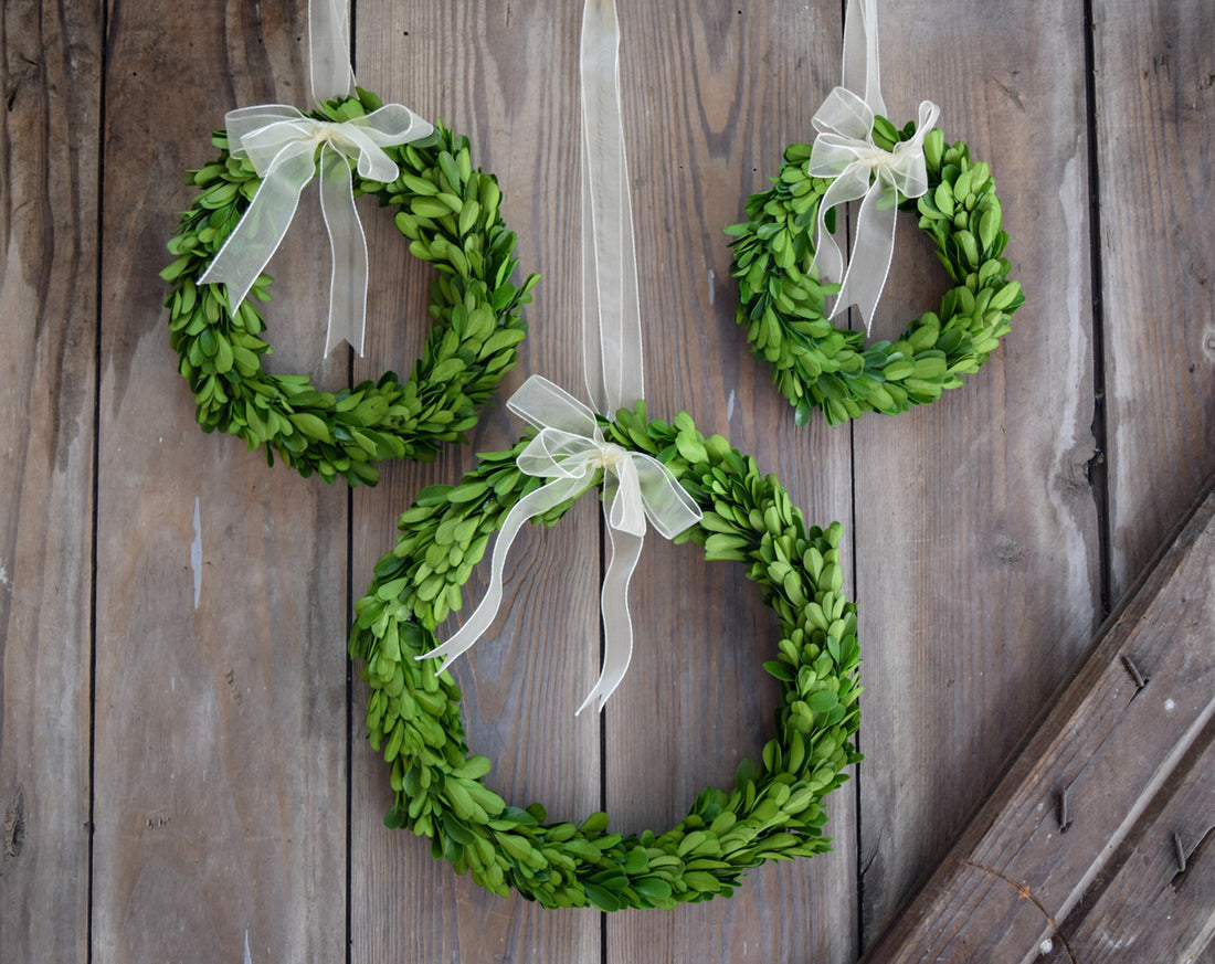 3 boxwood wreaths in 3 sizes hanging on a wood background. 