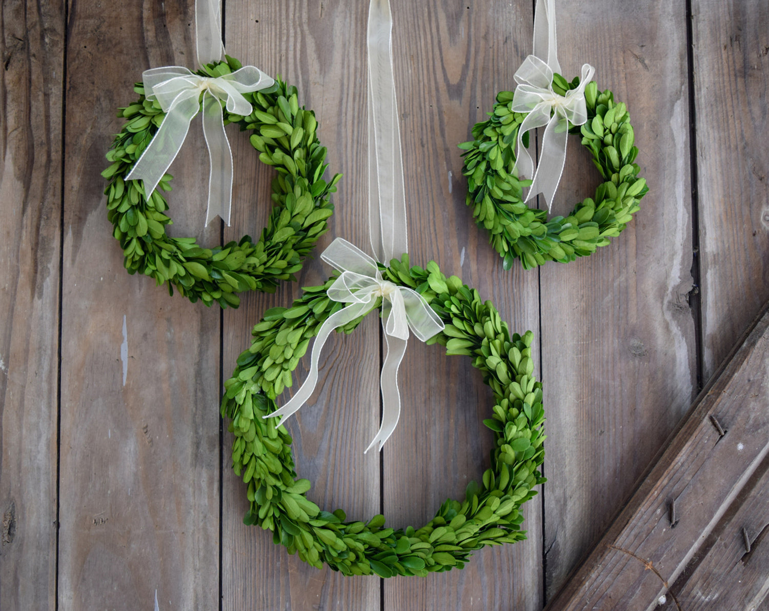 3 boxwood wreaths in 3 sizes hanging on a wood background. 