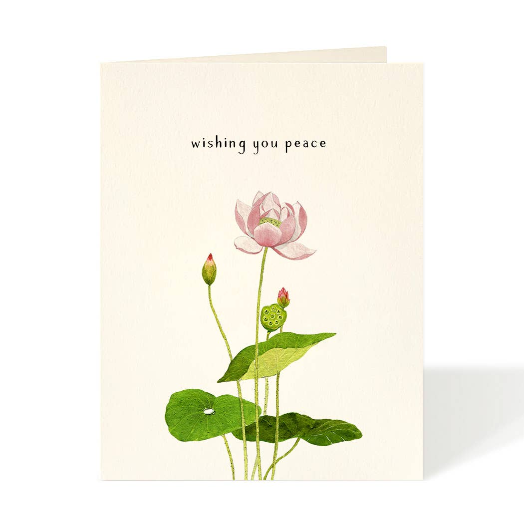 Greeting card by Felix Doolittle with artwork depicting a single pink flower and the sentiment above saying &quot;wishing you peace&quot;.