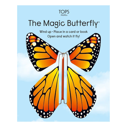 Magic Flying Butterfly Rainbow Colors