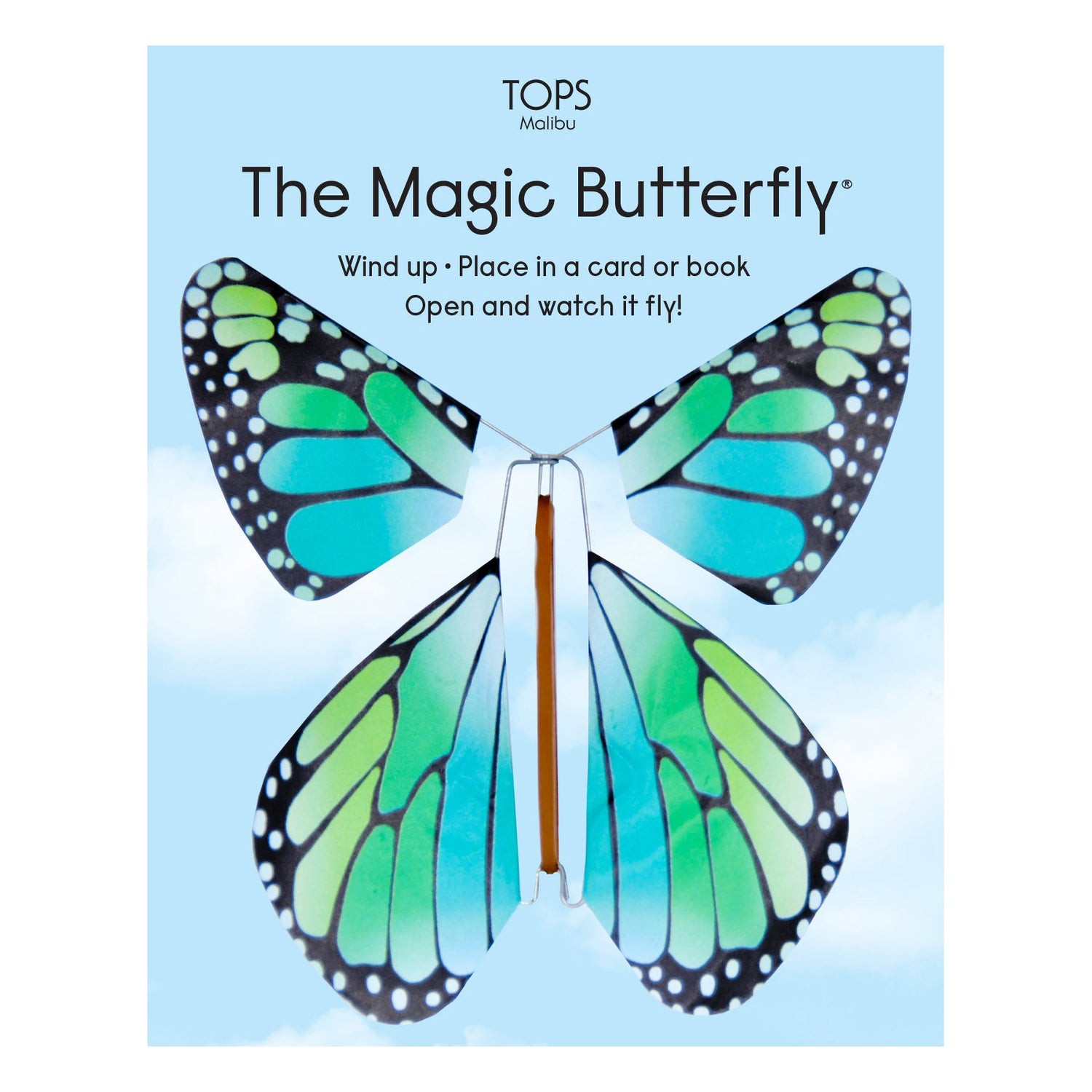 Magic Flying Butterfly Rainbow Colors